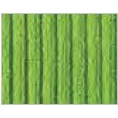 Cape de bain bain de soleil en tissu ponge 550 g vert 440736
